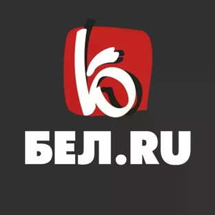 Статистика Дзен Бел.Ру