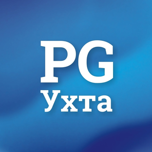 Статистика Дзен Pro Город Ухта