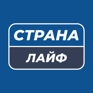 Статистика Дзен Страна лайф