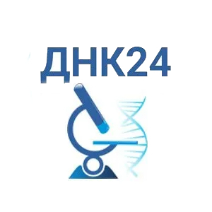 Статистика Дзен ДНК-тест. Установление отцовства и родства