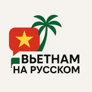 Статистика Дзен Вьетнам на русском