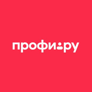 Статистика Дзен Профи.ру