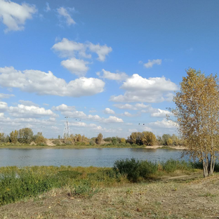 Статистика Дзен 1 рассказ