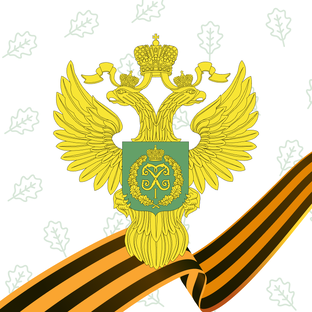 Статистика Дзен Рослесхоз