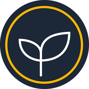Статистика Дзен webseed.ru - все о создании сайтов и веб-разработке. Полезные статьи на тему IT и бесплатные видео-курсы. Разрабатывайте сайты вместе с нами