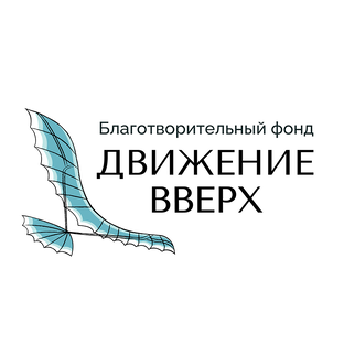 Статистика Дзен Благотворительный фонд "Движение вверх"