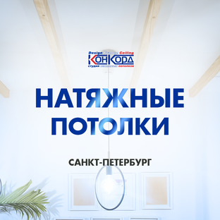Статистика Дзен Натяжные потолки в Санкт-Петербурге  «Конкорд»