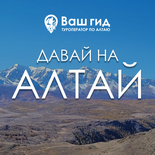Статистика Дзен ОТДЫХ НА АЛТАЕ