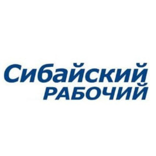 Статистика Дзен Сибайский рабочий