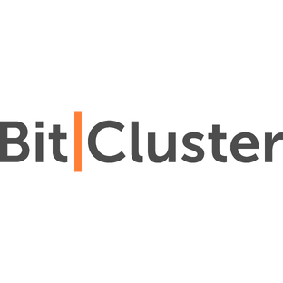 Статистика Дзен BitCluster | БитКластер