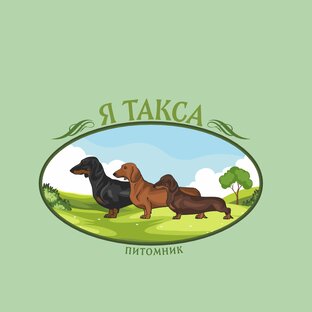Статистика Дзен Я Такса | Питомник собак