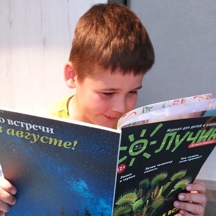 Дзен Журнал "Лучик" статистика