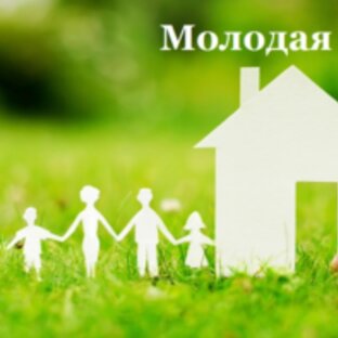 Статистика Дзен Молодая семья