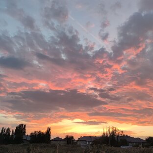 Дзен Бесполезные размышления статистика