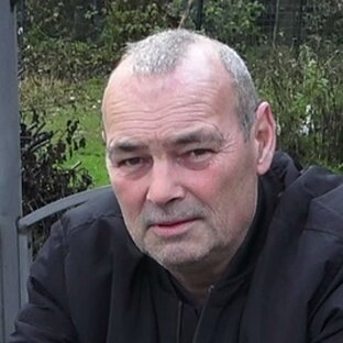 Дзен Хозяйство Воронова статистика