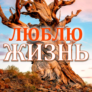 Дзен ЛЮБЛЮ ЖИЗНЬ статистика