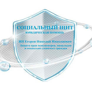 Статистика Дзен СОЦИАЛЬНЫЙ ЩИТ