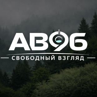 Статистика Дзен AB96 — Свободный взгляд