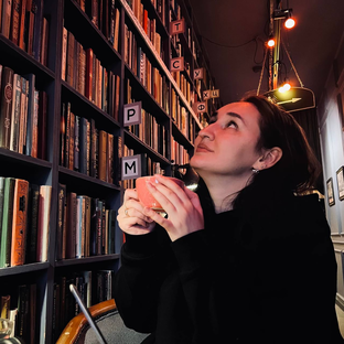 Статистика Дзен ежик в книжном тумане