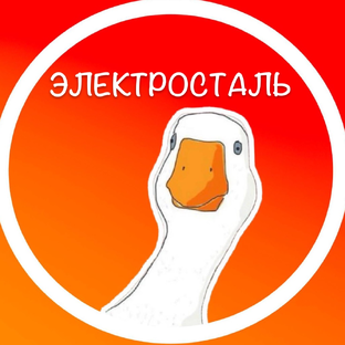 Статистика Дзен Подслушано Электросталь