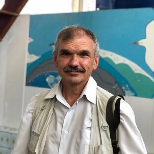 Статистика Дзен Алексей Завитаев