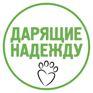 Статистика Дзен Дарящие надежду