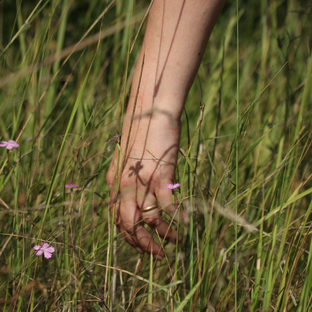 Дзен Воск Анна статистика