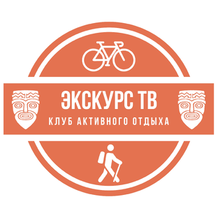 Статистика Дзен ЭКСКУРС TV