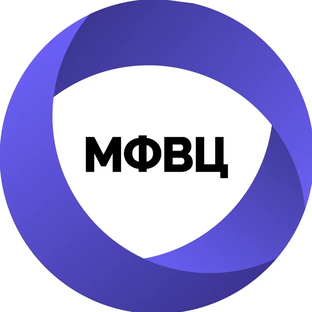 Статистика Дзен Многофункциональный Визовый Центр