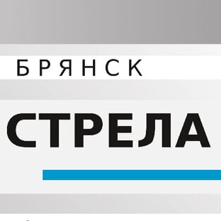 Статистика Дзен Брянские новости. Коротко о важном.
