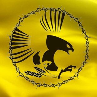 Статистика Дзен Память Даурии