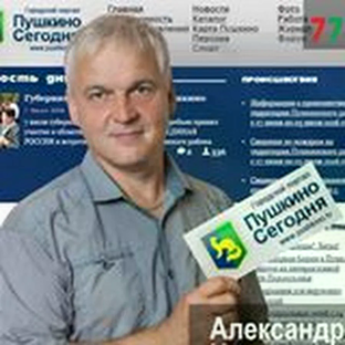 Статистика Дзен Пушкино сегодня