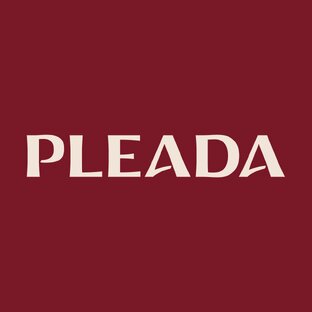 Статистика Дзен PLEADA | СПБ Новостройки