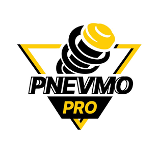 Статистика Дзен Pnevmo-Pro