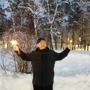 Статистика Дзен Сергей Богородский