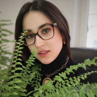 Статистика Дзен сама вырастила ks.plants