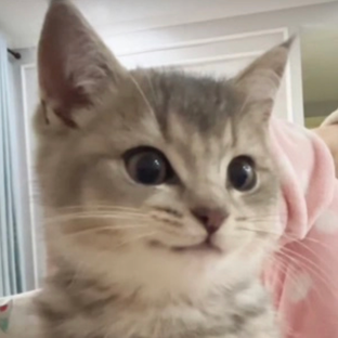 Дзен Мысли вслух и немножко об играх статистика