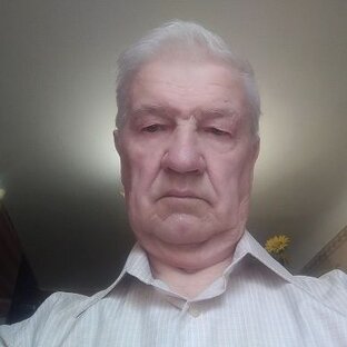 Статистика Дзен Виктор Рязанцев