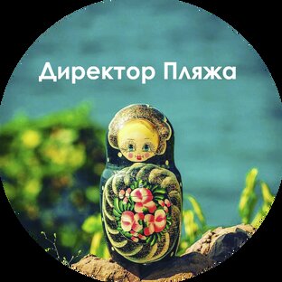 Дзен Директор Пляжа статистика