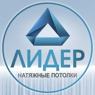 Статистика Дзен «Лидер» натяжные потолки
