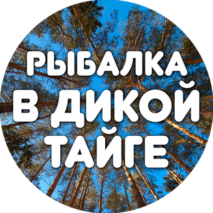 Статистика Дзен Рыбалка в дикой тайге