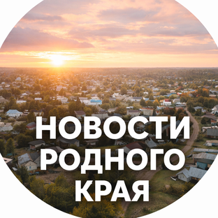Статистика Дзен Новости родного края 