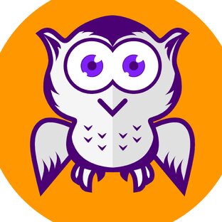 Статистика Дзен BUBO INSIDER