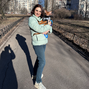 Статистика Дзен Жизнь с абиссинцем