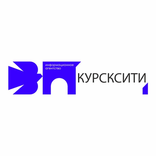 Статистика Дзен КУРСКСИТИ/Новости
