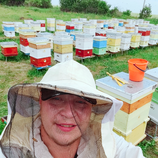 Статистика Дзен Bee Blog 