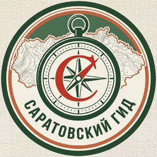 Статистика Дзен Саратовский гид