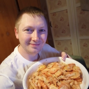 Статистика Дзен Sergei Zomb Live