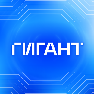 Статистика Дзен ГИГАНТ