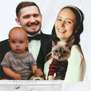 Статистика Дзен Че Танюч?